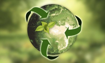 Jak vnímáme udržitelnost?