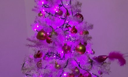 Vánoční stromeček je také úžasná vánoční dekorace