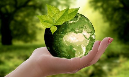 Firmy si uvědomují význam udržitelnosti nejen jako obchodní příležitosti