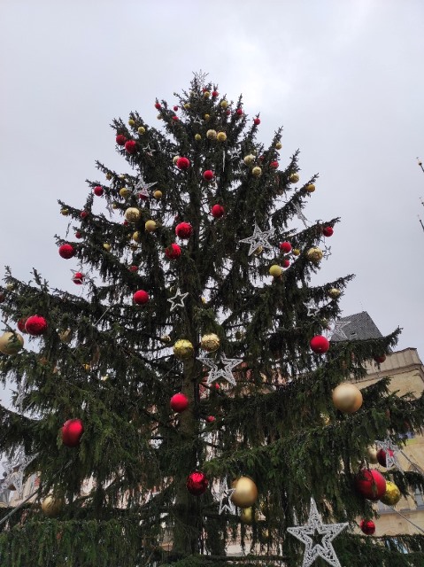 Vánoční strom na Staroměstském náměstí v Praze je moc pěkný