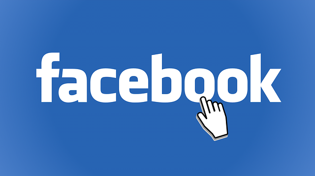 Facebook je v Česku stálice mezi sociálními sítěmi