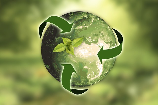 Jak legislativa upravuje greenwashing? Jak správně a legálně komunikovat udržitelnost?
