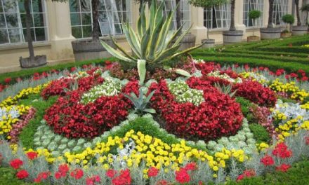 Když se vám plete Květná a Podzámecká zahrada v Kroměříži, je fajn navštívit obě
